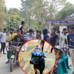 নরসিংদীতে জন্মদিনের পরদিন কুকুর হত্যা, মরদেহ নিয়ে থানায় হাজির কয়েকশ মানুষ